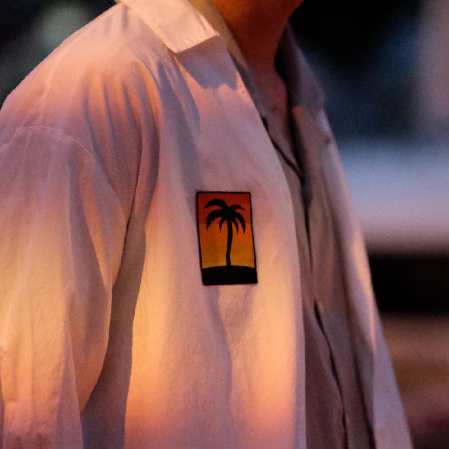 Palmtree and sunset.